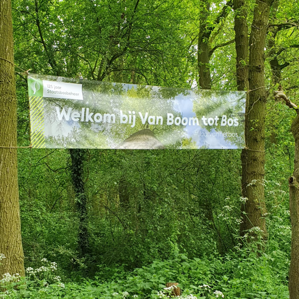 Van Boom tot Bos wandelroute